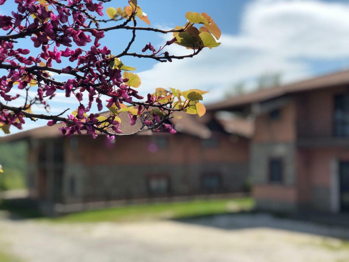 Hotel Pietrapanna Calvello Kültér fotó